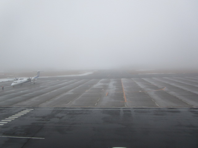 20250407_094036.JPG
