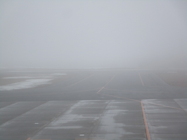 20250407_094057.JPG