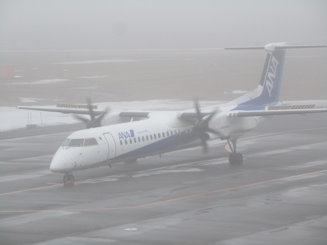 20250407_094112.JPG