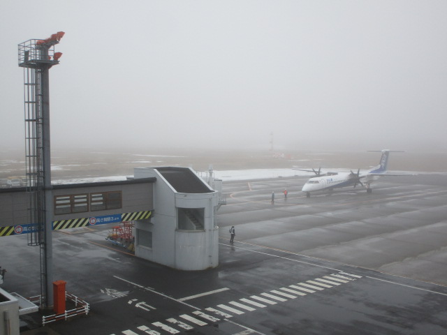 20250407_094135.JPG