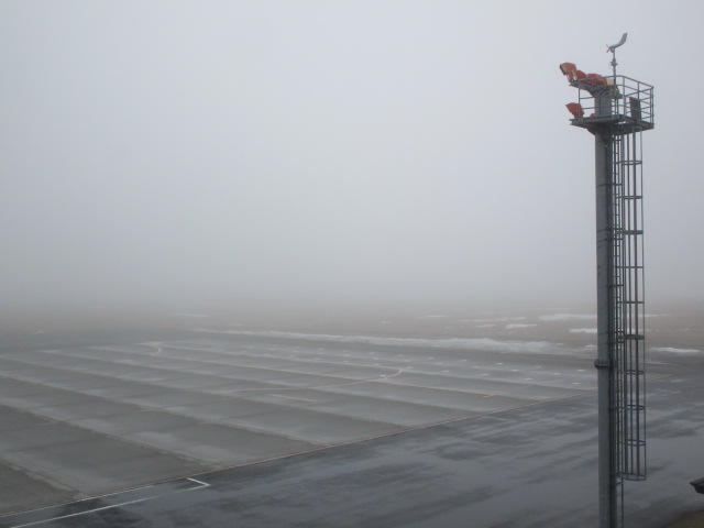 20250407_094152.JPG