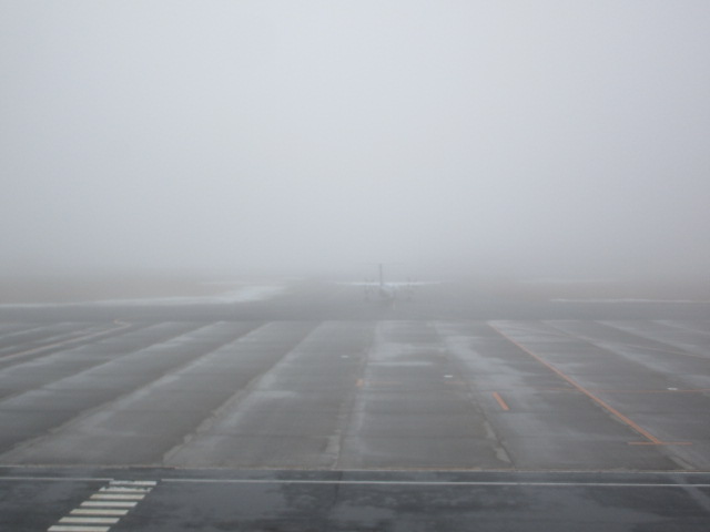 20250407_094224.JPG