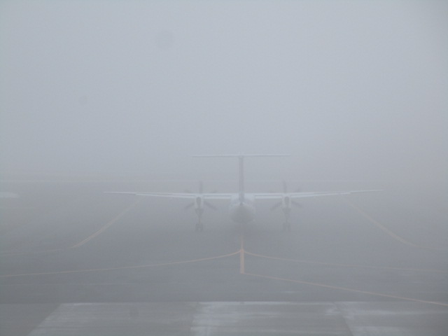 20250407_094238.JPG