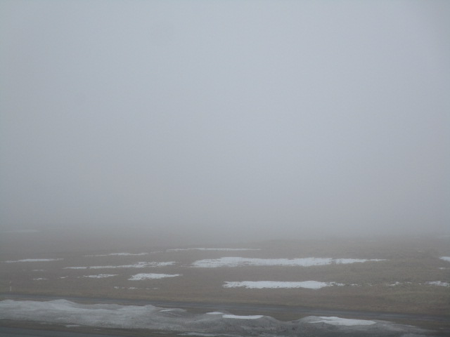 20250407_094253.JPG