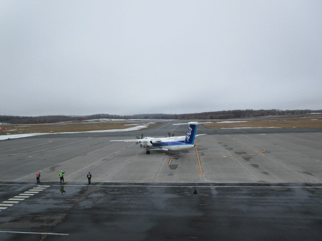 20250407_134048.JPG