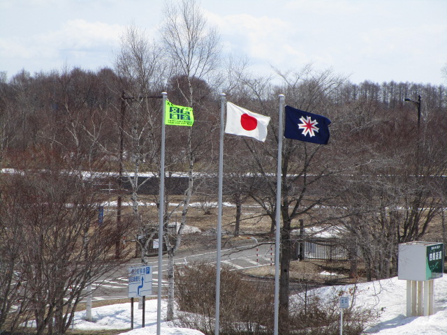 20250408_111907.JPG