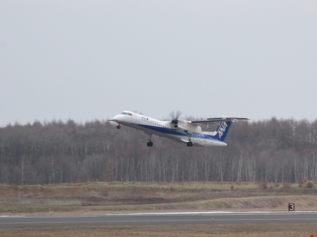 20250409_103606.JPG