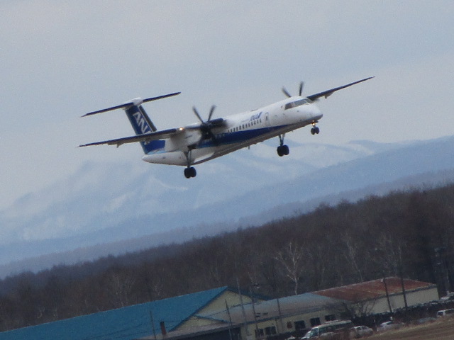 20250409_131652.JPG