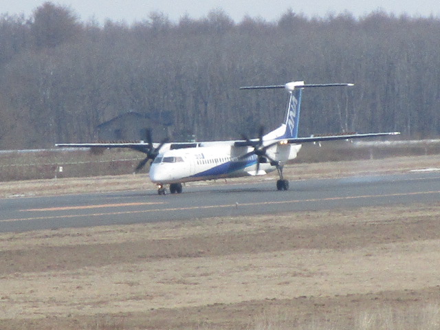 20250410_100053.JPG