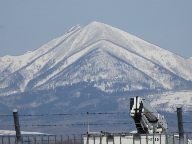 20250410_100302.JPG
