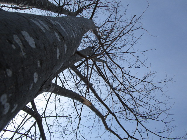 20250410_100317.JPG