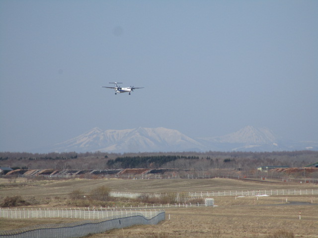 20250411_095501.JPG