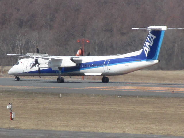 20250411_095740.JPG