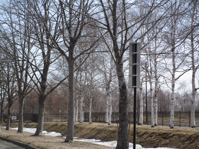 20250411_095849.JPG
