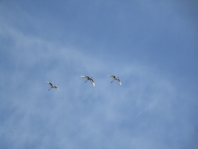 20250411_095907.JPG