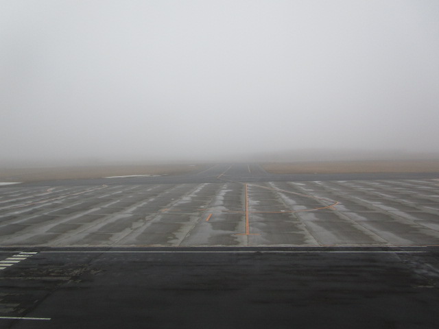 20250412_101232.JPG