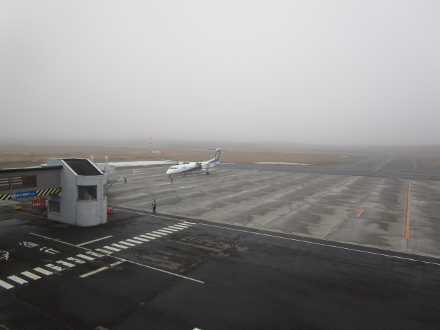 20250412_101405.JPG