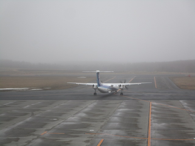 20250412_101454.JPG
