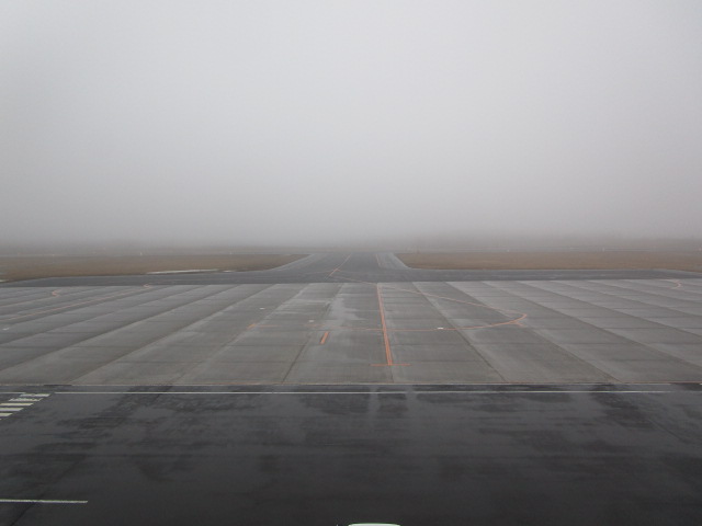 20250412_171852.JPG