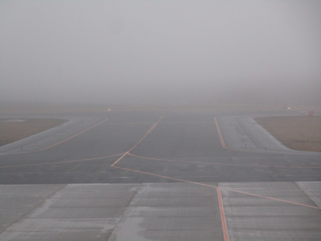 20250412_171930.JPG