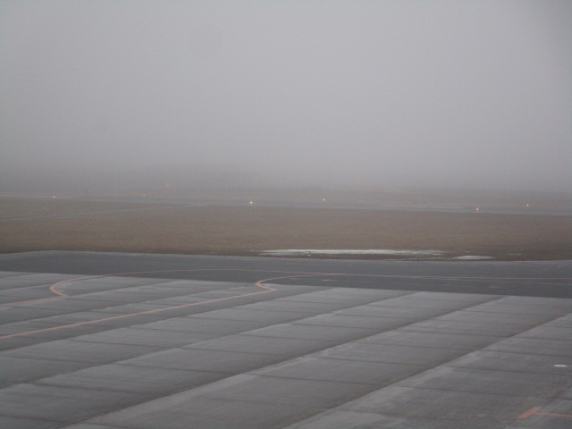 20250412_172004.JPG