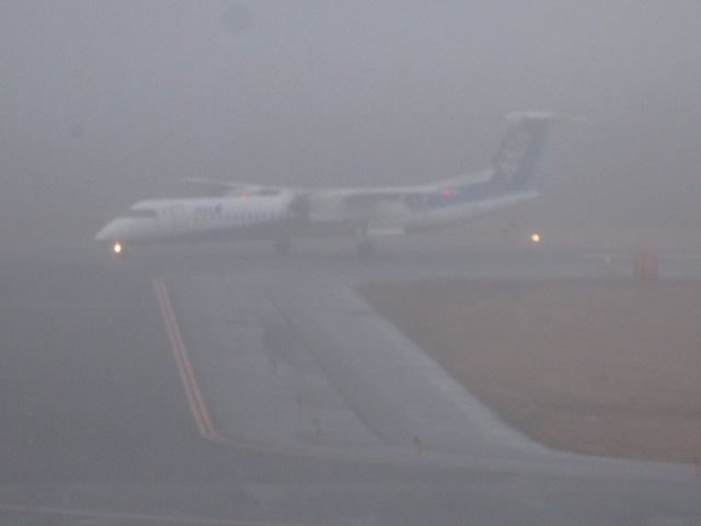 20250412_172038.JPG