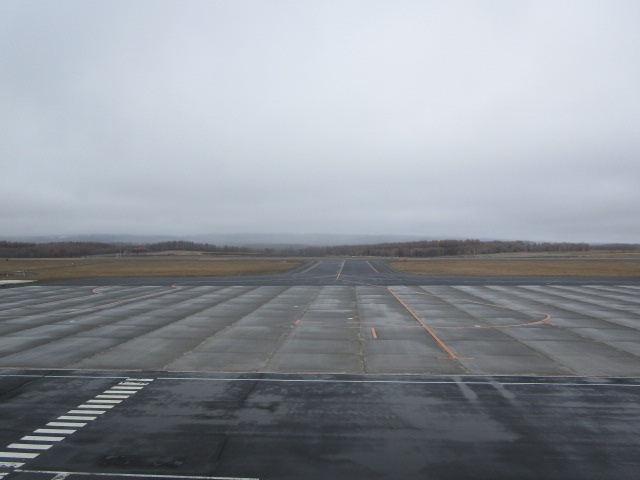 20250415_100156.JPG