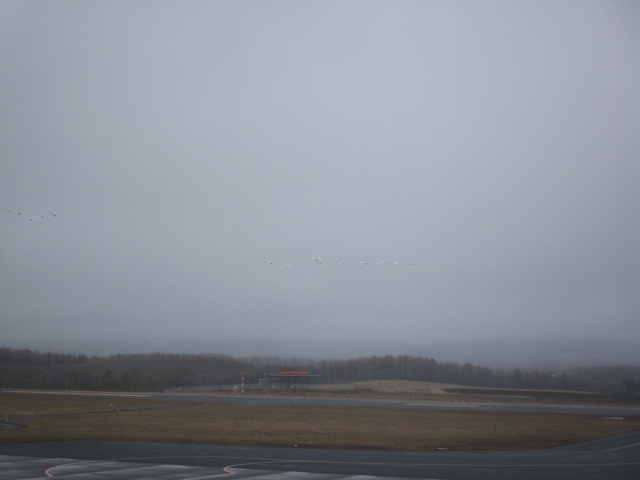 20250415_100224.JPG