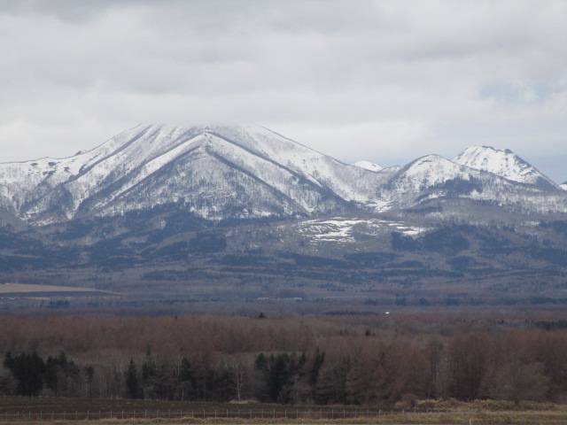 20250415_153936.JPG