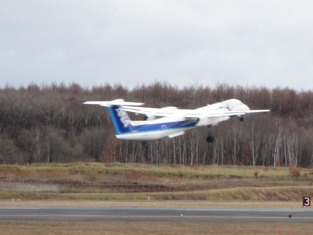 20250416_095520.JPG