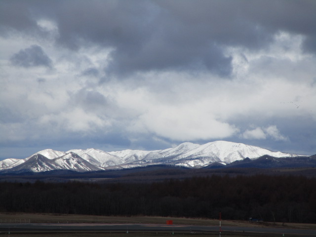 20250417_095900.JPG