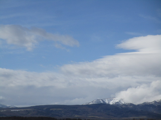20250417_152317.JPG