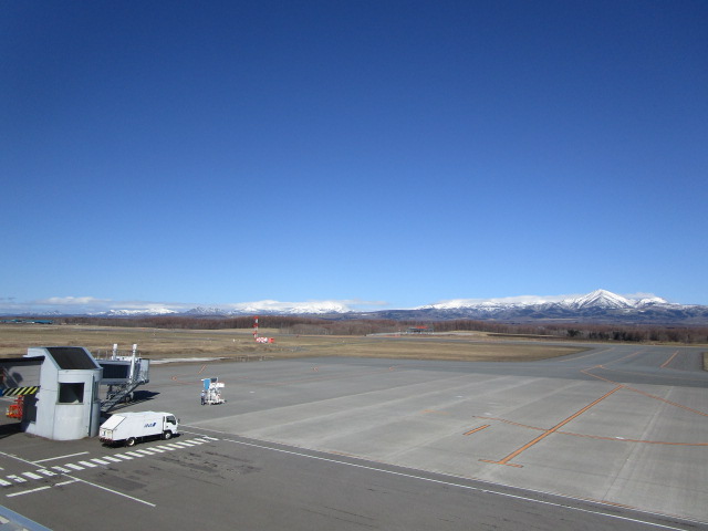 20250418_094006.JPG