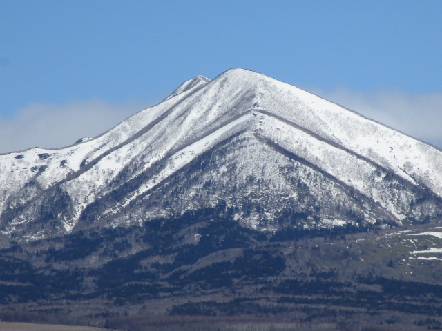 20250418_094033.JPG