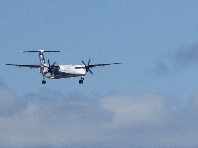 20250418_094051.JPG