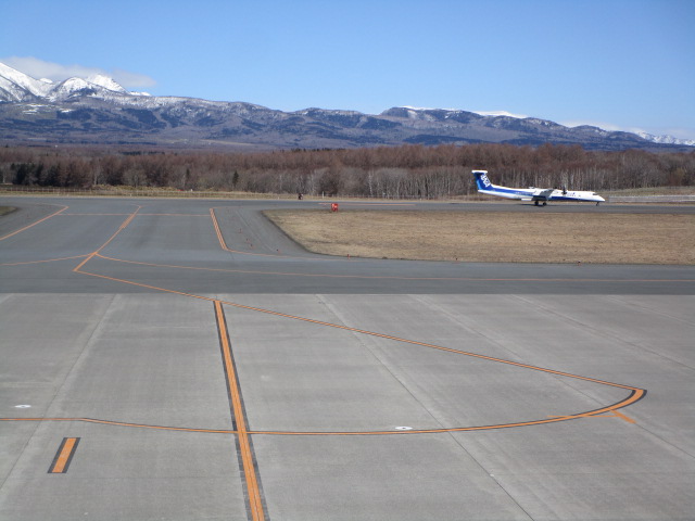 20250418_094141.JPG