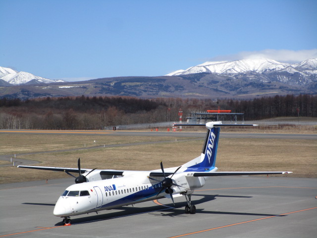 20250418_094212.JPG