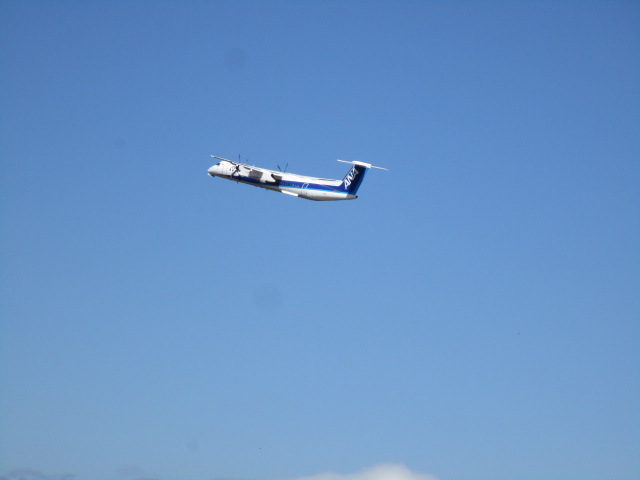 20250418_094443.JPG