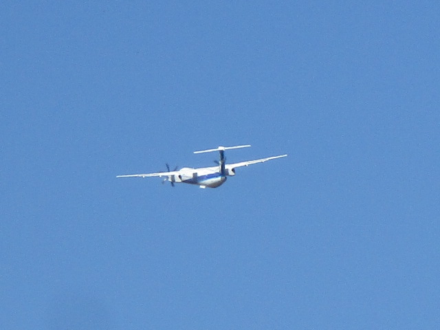 20250418_094507.JPG
