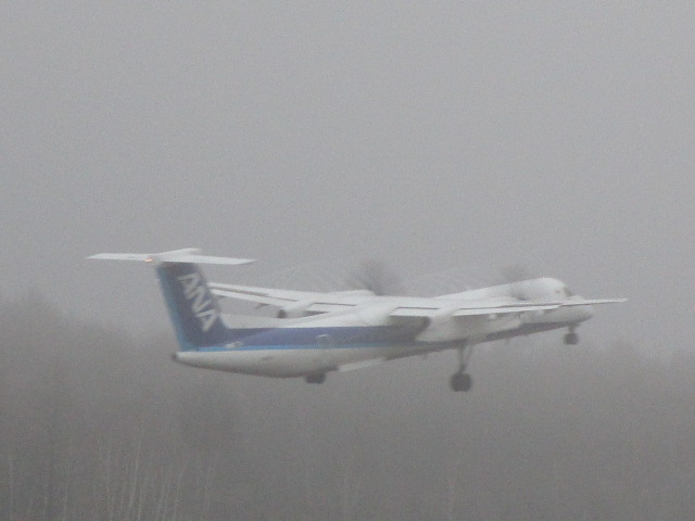 20250420_100750.JPG
