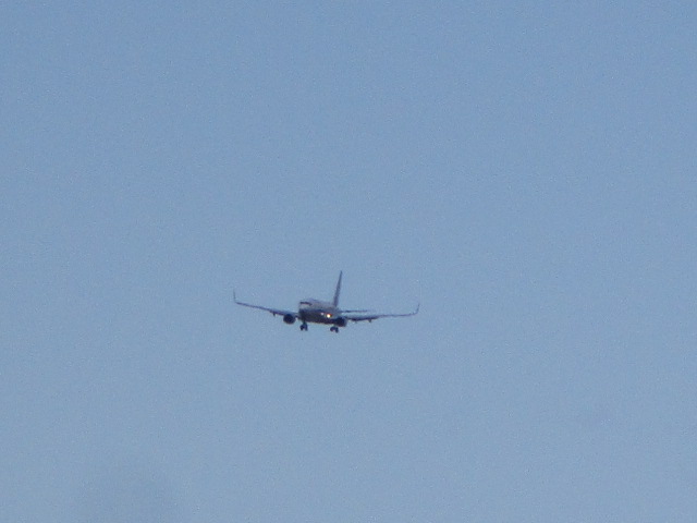 20250421_151845.JPG