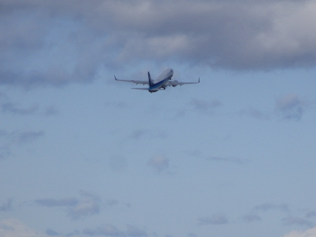 20250421_152055.JPG