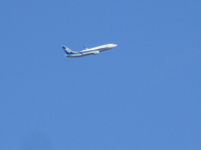 20250421_152129.JPG