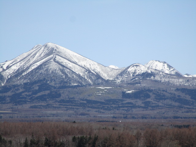 20250422_100400.JPG