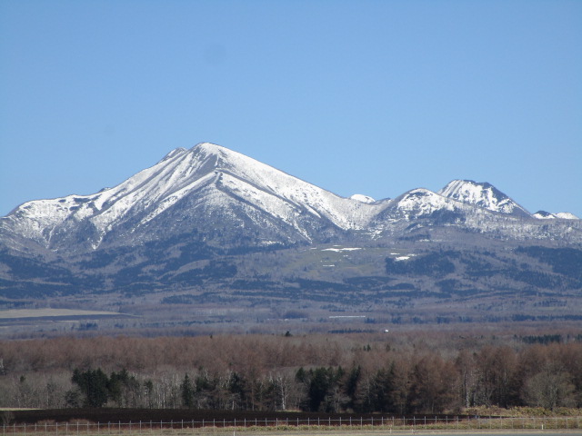 20250424_092955.JPG