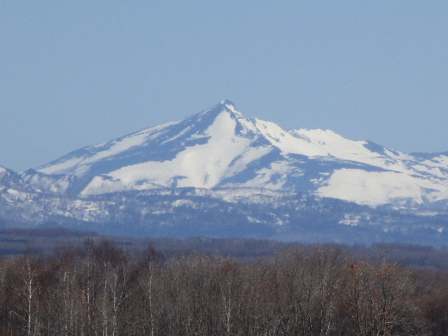 20250424_093018.JPG