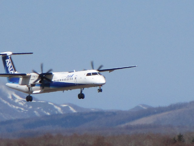 20250424_093105.JPG