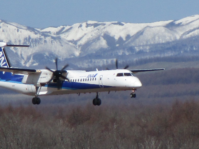 20250424_093125.JPG