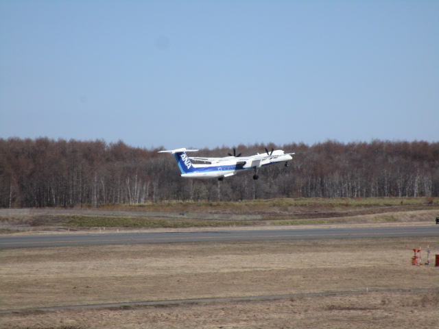 20250424_093221.JPG