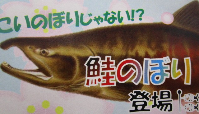 20250424_112555.JPG